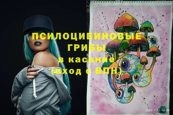 первитин Абинск