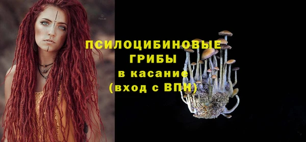 первитин Абинск