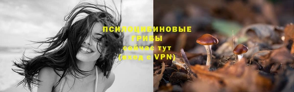 герыч Абаза