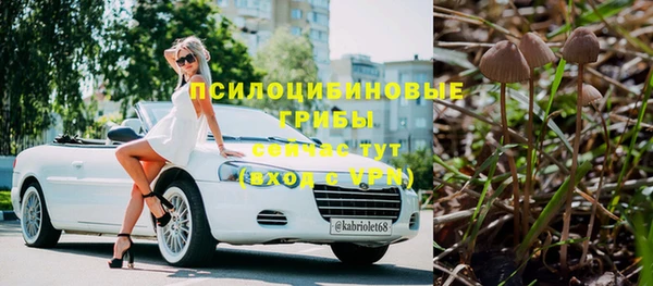 соль ск Алексеевка