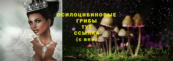 гидра Абдулино